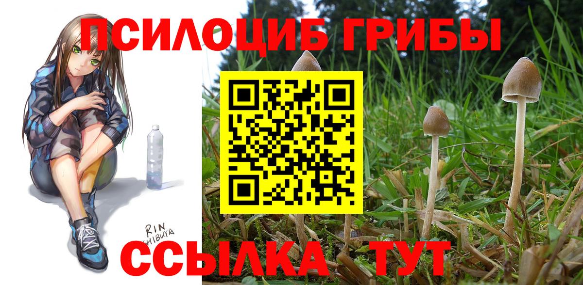 Псилоцибиновые грибы ЛСД Петрозаводск