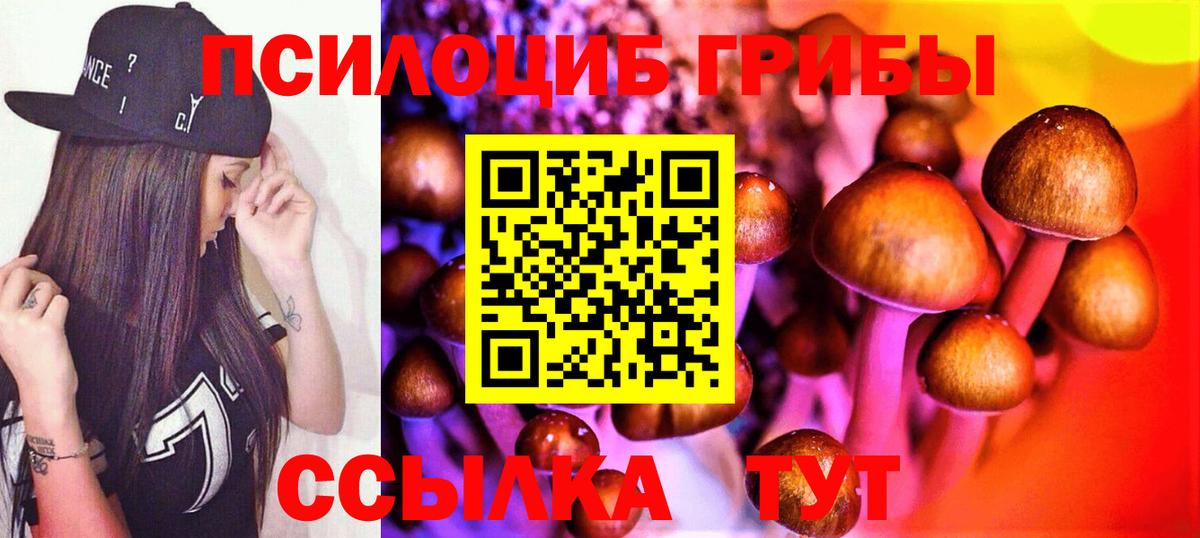 Галлюциногенные грибы GOLDEN TEACHER  Вход с VPN  что такое   Петрозаводск 
