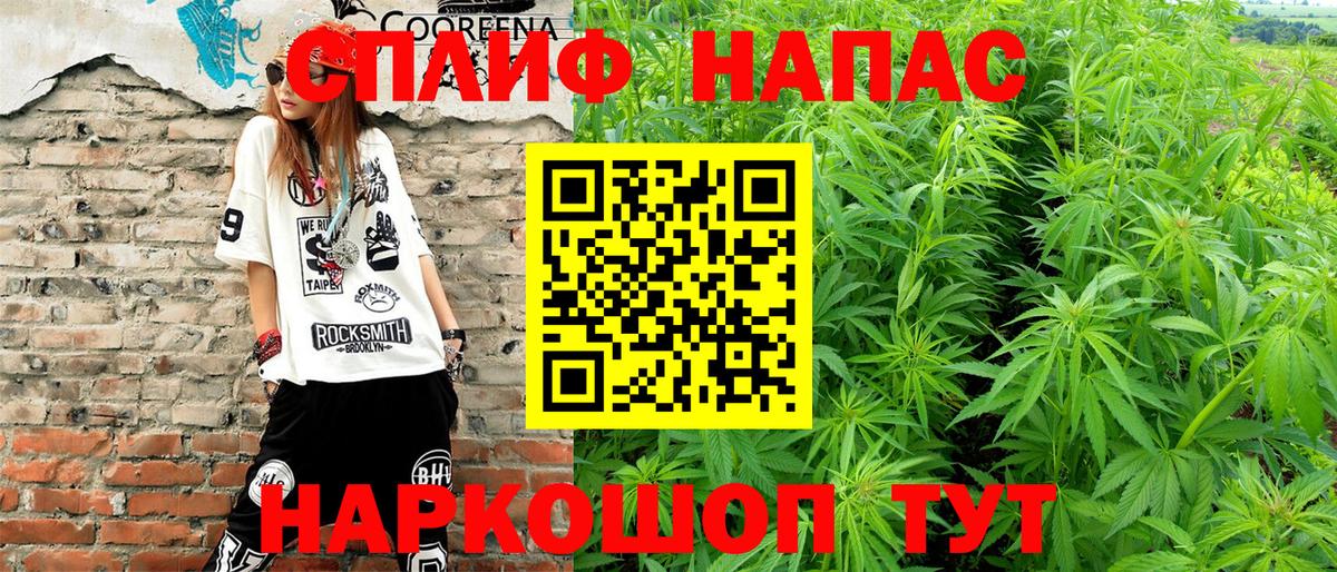 Петрозаводск  Бошки марихуана тримм  Конопля Bruce Banner  Вход с VPN 